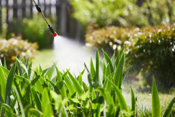 24/7 Emergency Ant Control experts in Ocean City, FL